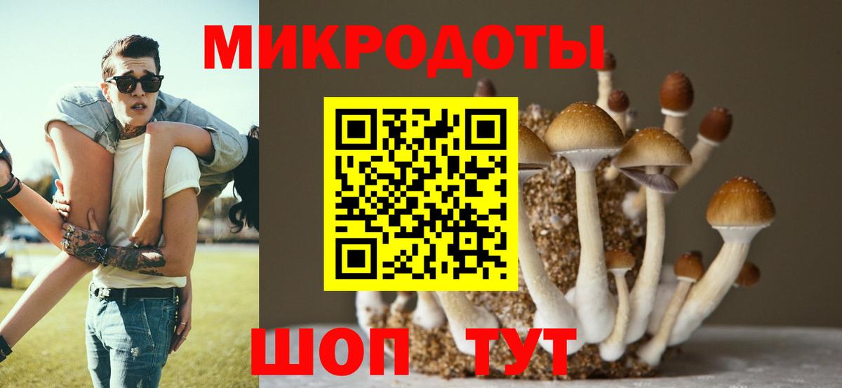 Псилоцибиновые грибы Psilocybine cubensis  Вход с VPN  Алексин 